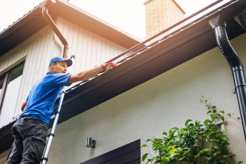 Gutter Cleaning Companies